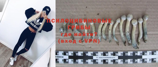 гидропоника Абдулино