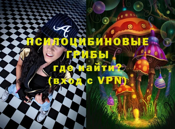 индика Абинск