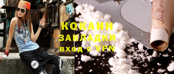 индика Абинск