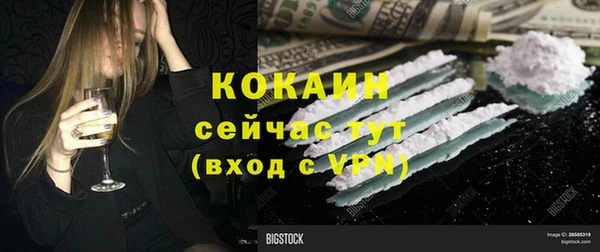 индика Абинск