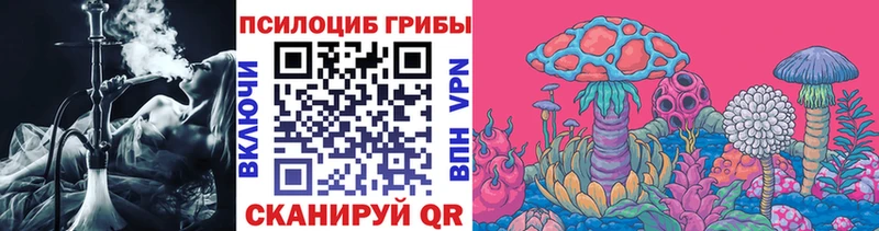 Псилоцибиновые грибы Cubensis Гусиноозёрск