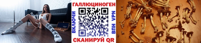 гидра сайт Гусиноозёрск Псилоцибиновые грибы мицелий
